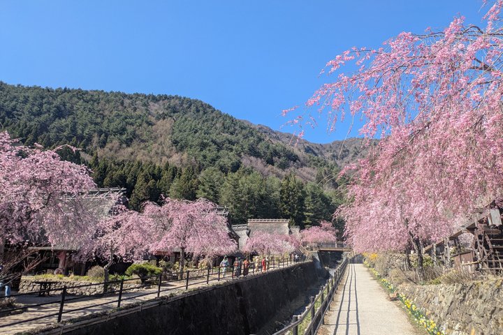 Lake Kawaguchi : Private Half Day Customized Tour w/ local guide