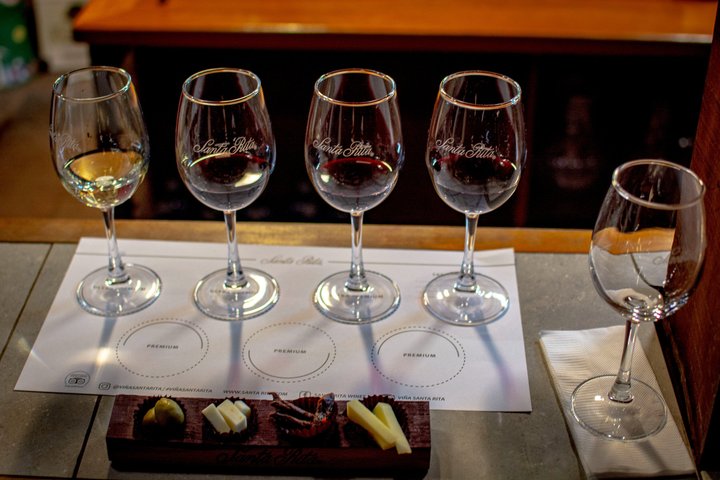 Viña Santa Rita Premium Tour and 5 Wine Tasting Small Group