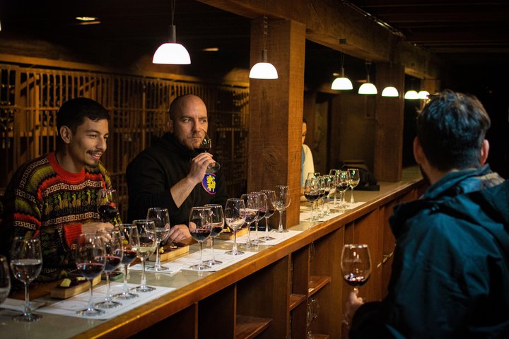 Viña Santa Rita Premium Tour and 5 Wine Tasting Small Group