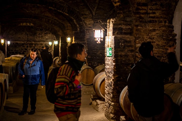 Viña Santa Rita Premium Tour and 5 Wine Tasting Small Group