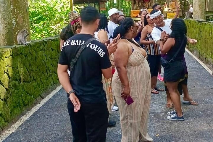Ubud: Monkey Forest, Jungle Swing, Rice Terrace and Water Temple