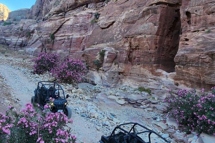 Private UTV Tour Discover Petra Hidden Mountain Trails