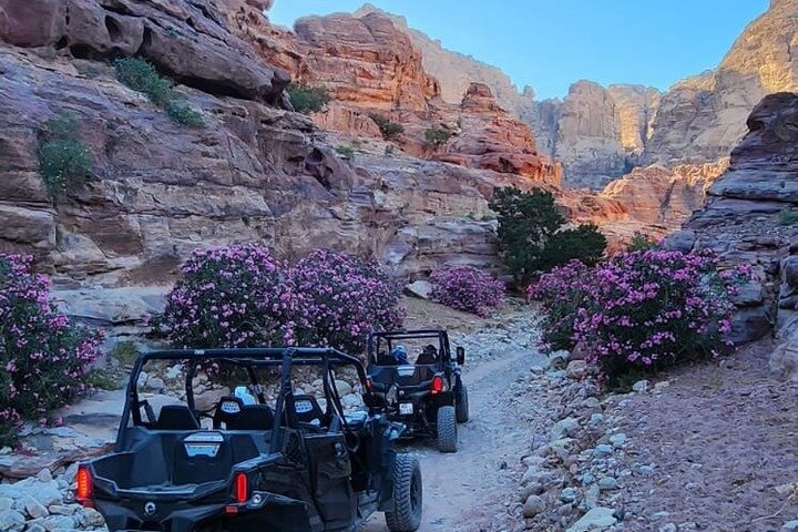 Private UTV Tour Discover Petra Hidden Mountain Trails