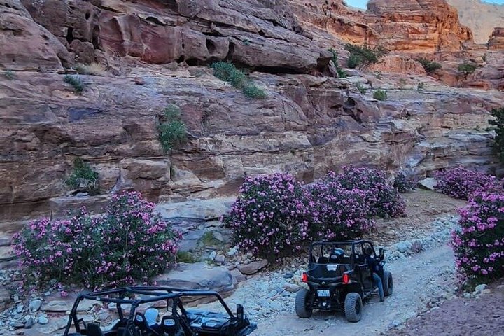 Private UTV Tour Discover Petra Hidden Mountain Trails