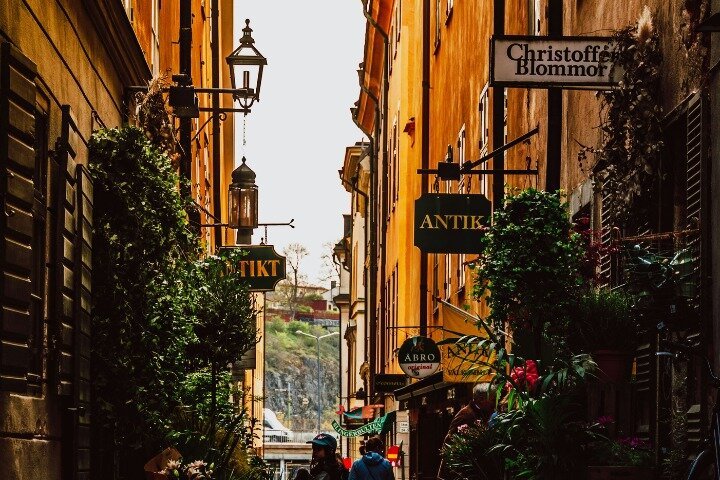Best of Stockholm: Small Group Walking Tour (Max 10, 3 Hours)