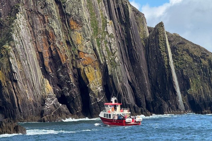 1 hour Dingle Bay Cliff Tour