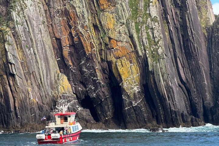 1 hour Dingle Bay Cliff Tour