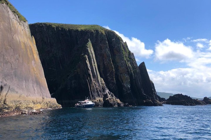 1 hour Dingle Bay Cliff Tour