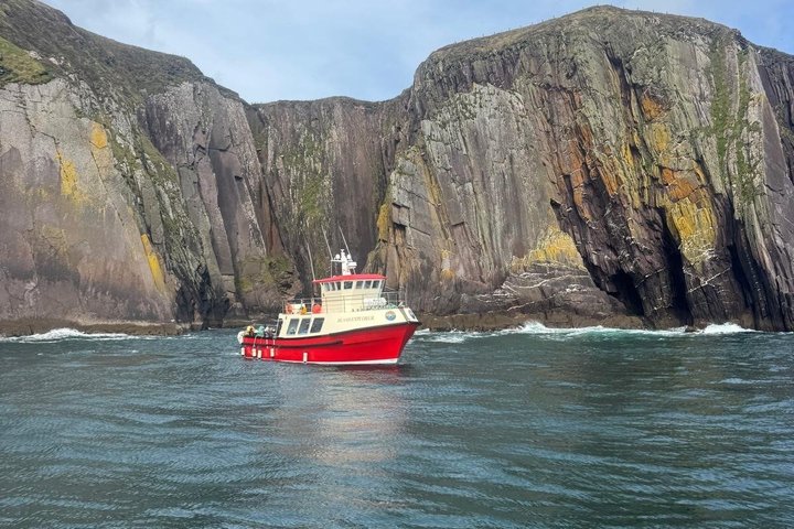 1 hour Dingle Bay Cliff Tour