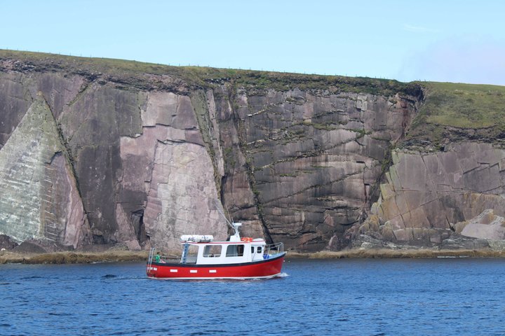 1 hour Dingle Bay Cliff Tour