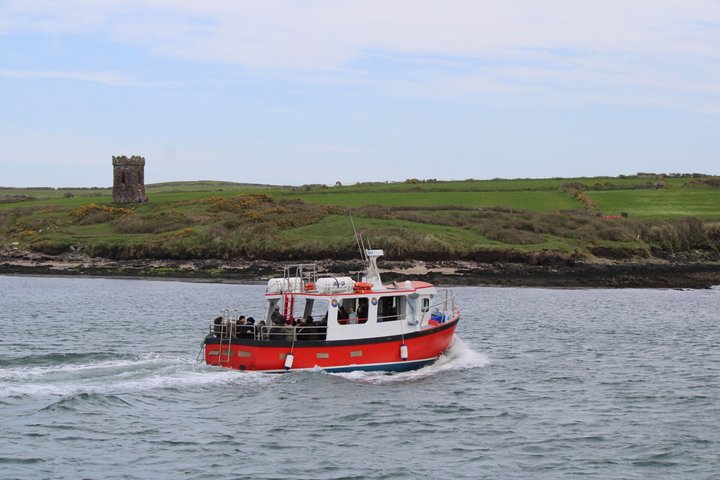 1 hour Dingle Bay Cliff Tour