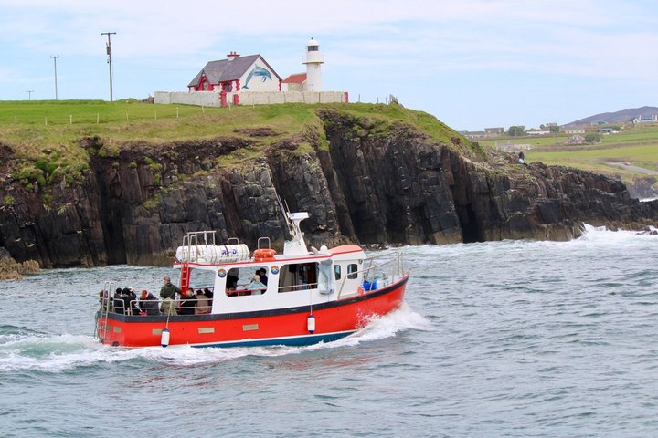 1 hour Dingle Bay Cliff Tour