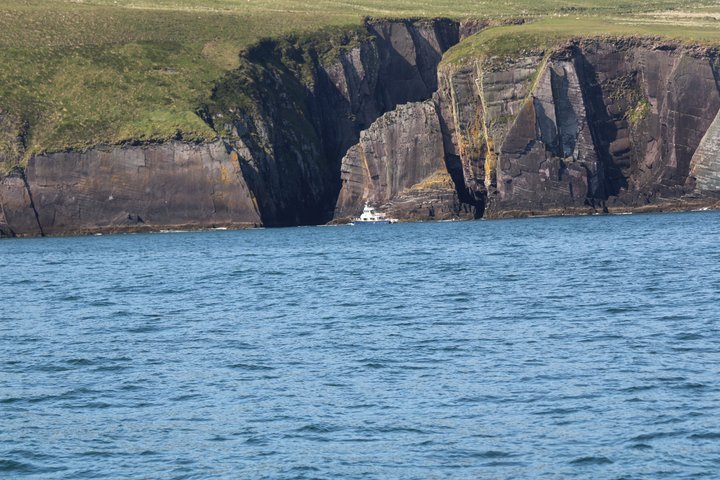 1 hour Dingle Bay Cliff Tour