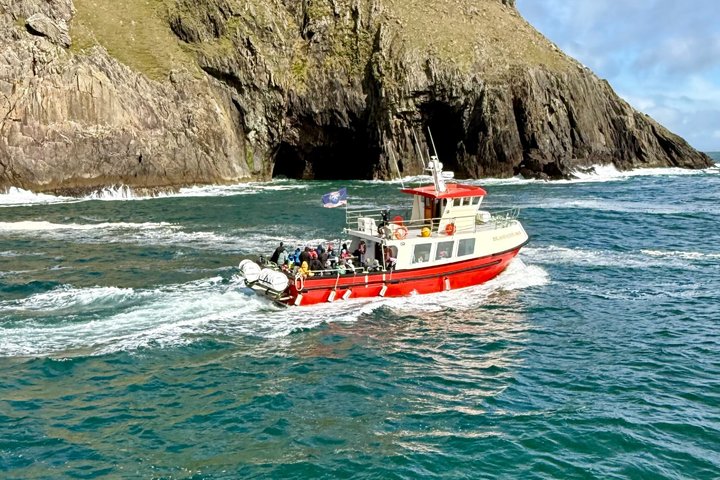 2-hour Guided Mini Eco Tour at Dingle, Ireland