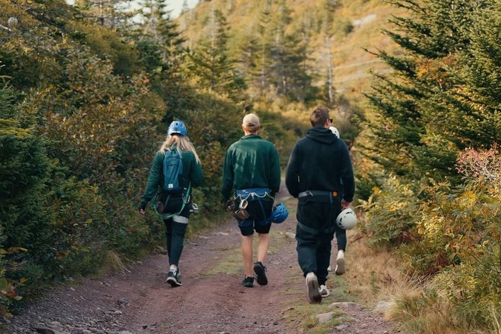 Zipline Adventure Tour Over the Coastline of Petty Harbour