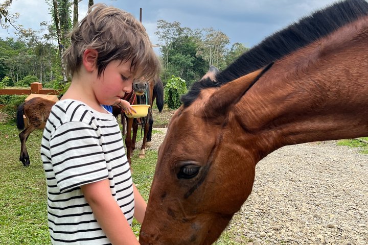 Horseback Riding Adventure in La Fortuna with River Crossings