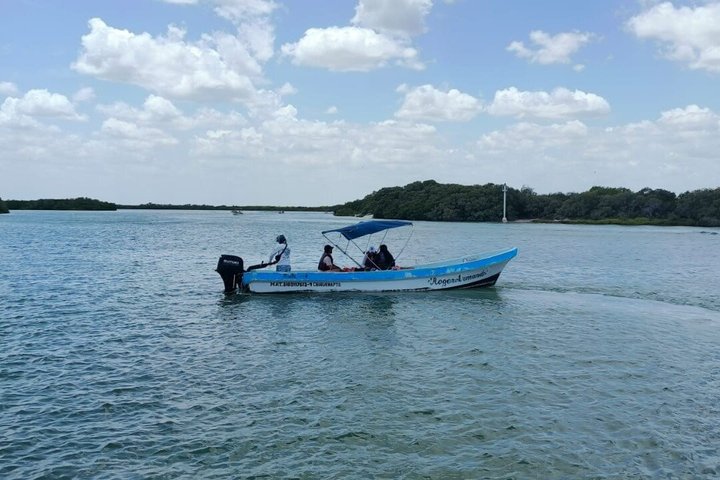 Progreso Beach and Isla Columpios Tour