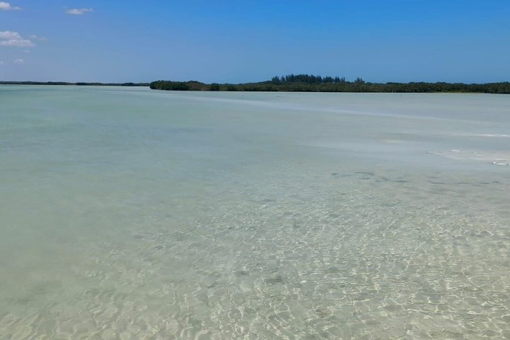 Progreso Beach and Isla Columpios Tour