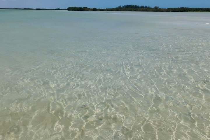 Progreso Beach and Isla Columpios Tour