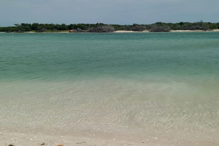 Progreso Beach and Isla Columpios Tour