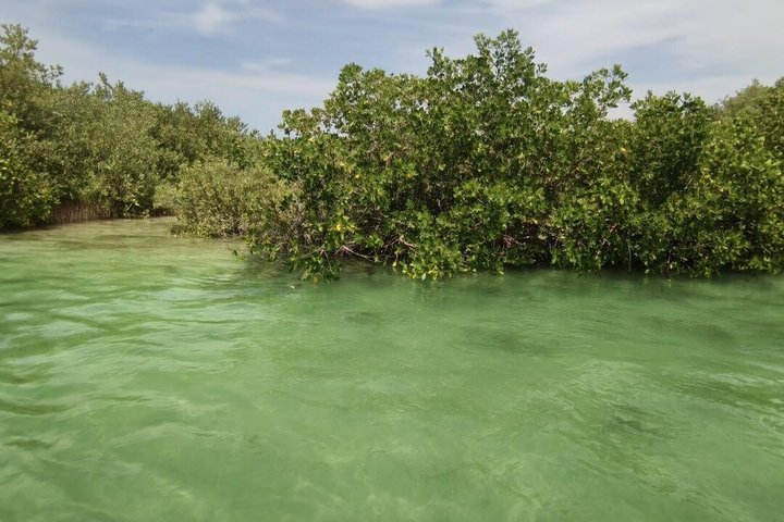 Progreso Beach and Isla Columpios Tour