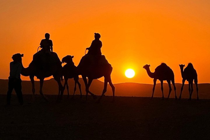 Agafay Desert Quad Bike Camel Ride and Dinner Show