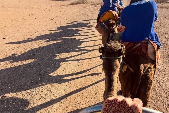 Agafay Desert Quad Bike Camel Ride and Dinner Show