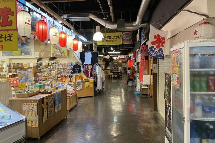 Kochi Cruise Tour Ryugado Cave Hirome Market Kochi Castle
