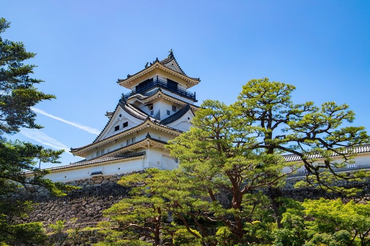 Kochi Cruise Tour Ryugado Cave Hirome Market Kochi Castle