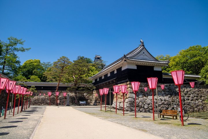 Kochi Cruise Tour Ryugado Cave Hirome Market Kochi Castle