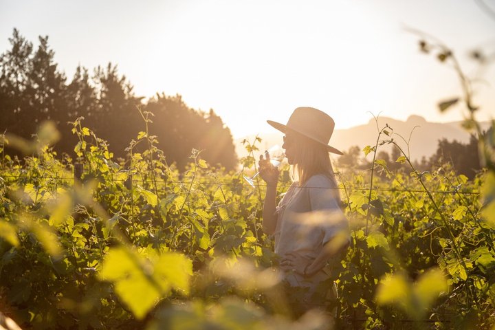 Full‑Day Stellenbosch and Franschhoek Wine Tour from Cape Town