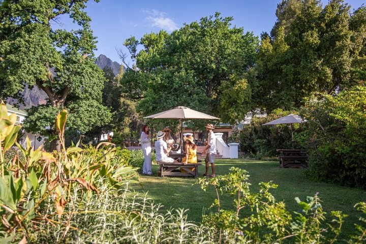 Full‑Day Stellenbosch and Franschhoek Wine Tour from Cape Town