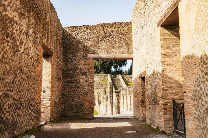 Pompeii & Mt. Vesuvius Elite Tour & Lunch From Naples