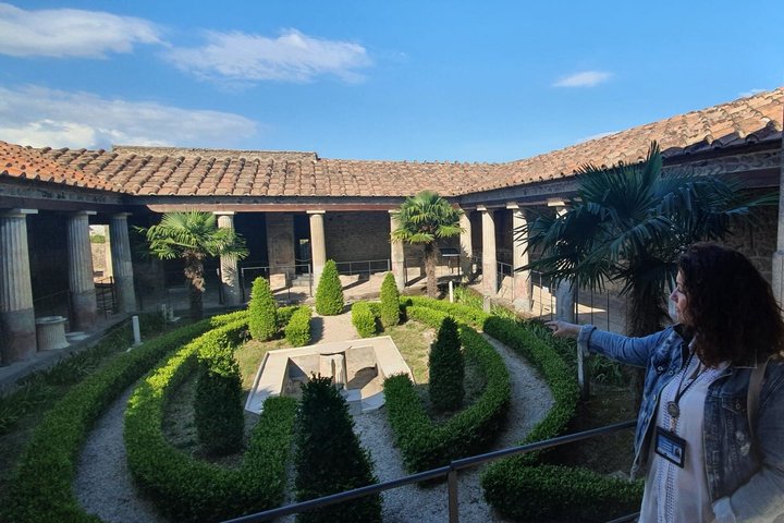 Pompeii & Mt. Vesuvius Elite Tour & Lunch From Naples