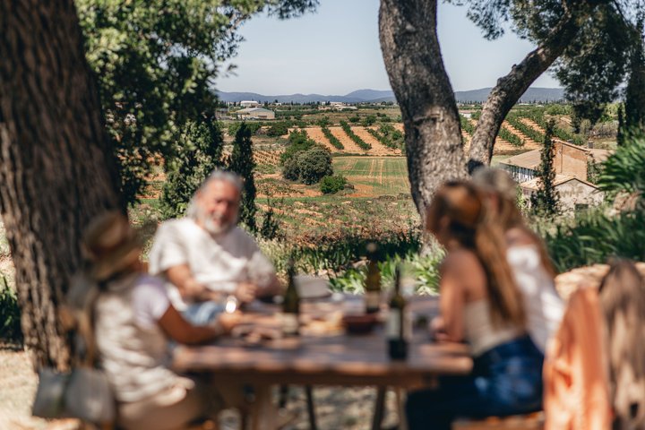 Valencia: Utiel-Requena Cave & Winery Day Trip with Tasting