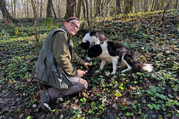 Truffle Hunting and Cheese, Truffle & Wine Tasting near Alba