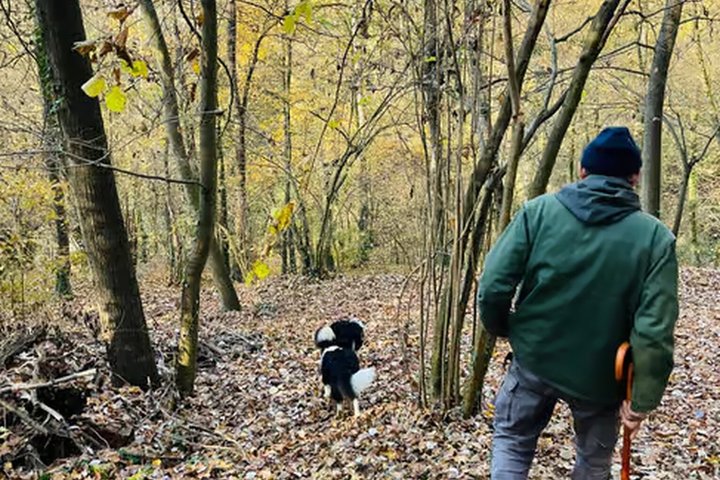 Truffle Hunting and Cheese, Truffle & Wine Tasting near Alba