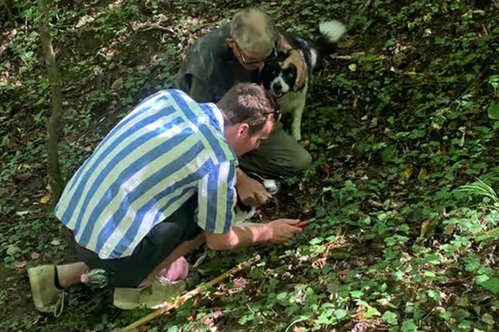 Truffle Hunting and Cheese, Truffle & Wine Tasting near Alba