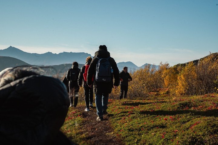 Tromsø Arctic Fjords Adventure Tour with Local Lunch