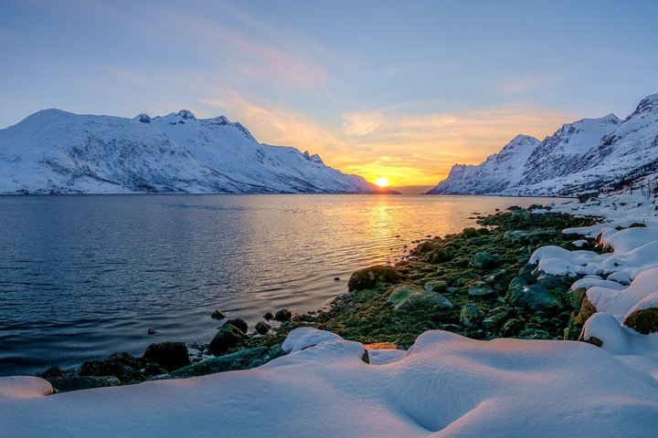 Tromso Excursion Artica Fjords and Sommaroy Islands with lunch