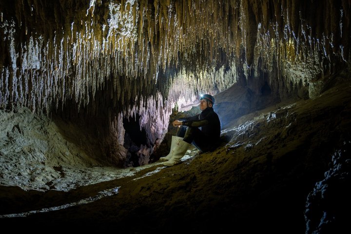 Okohua Glowworm Cave Tour