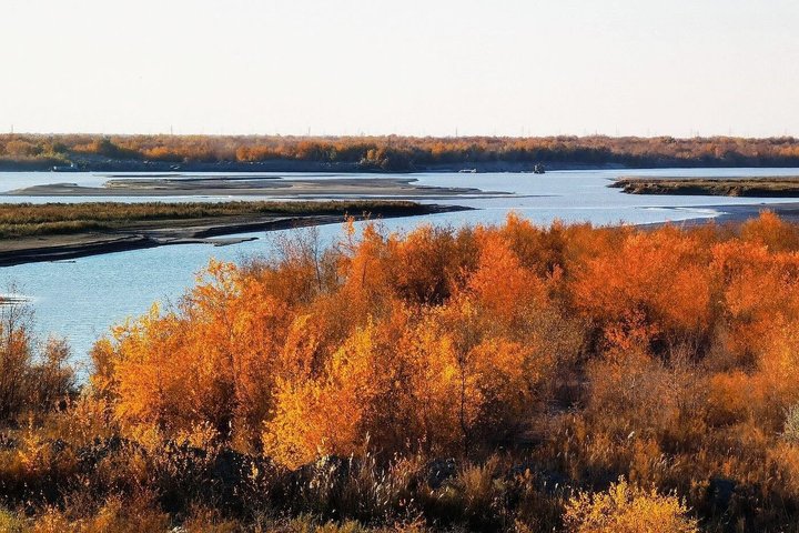 Daytrip from Khiva to the Muynak Ship Cemetery and Nukus Museum