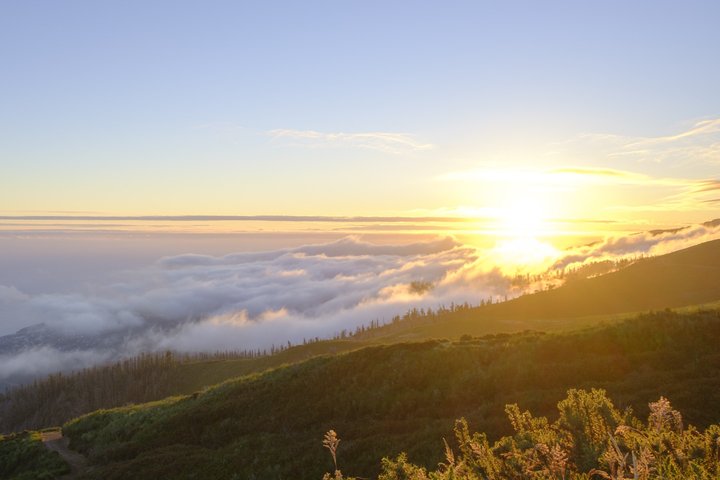 Madeira PR1 and Other PR Trail Access Booking Service No Transfer