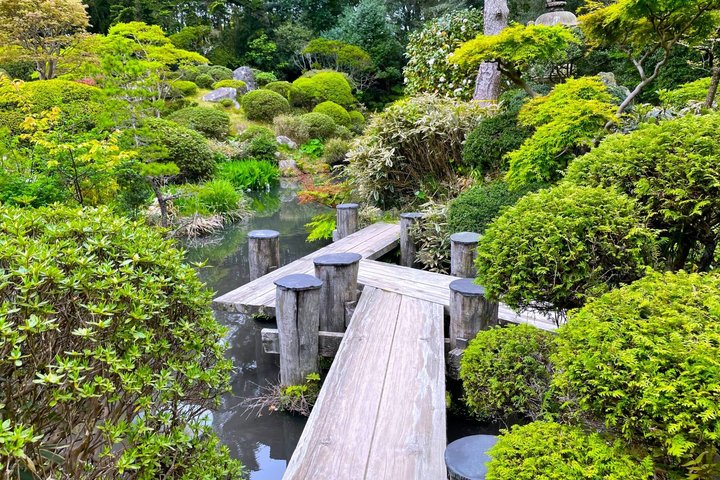 Discover Rice Barons Art and Geisha Heritage from Sakata Port