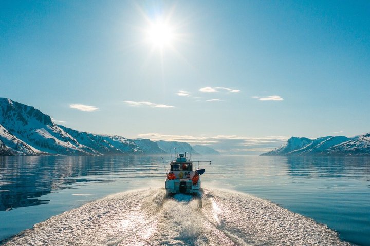Shared Altafjord Norway Day Tour