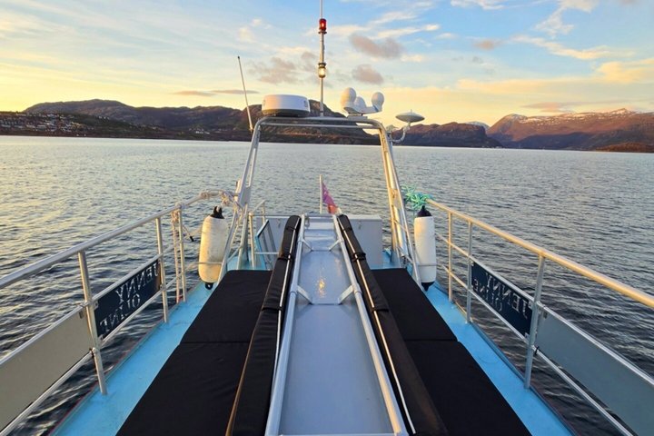 Shared Altafjord Norway Day Tour
