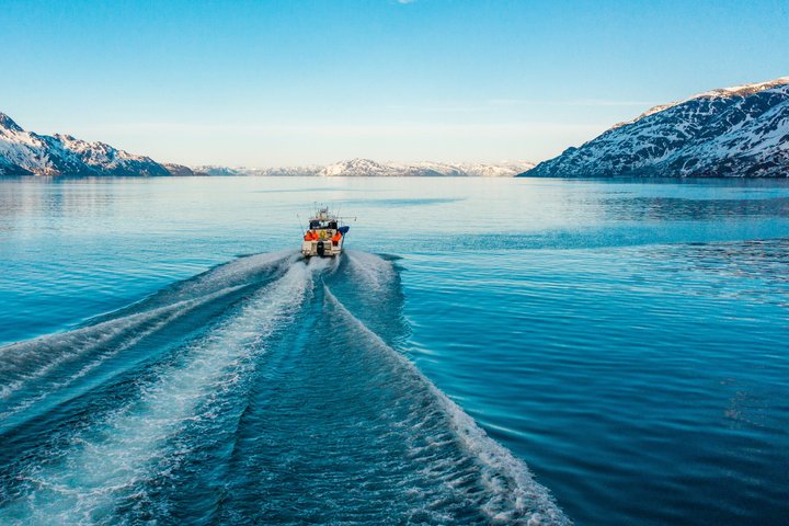 2 Hours Fishing Adventures in Alta Fjord