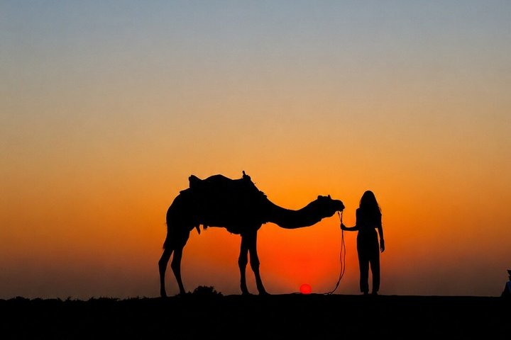 Agafay Desert Dinner, Camel Ride, Fire Show & Traditional Music