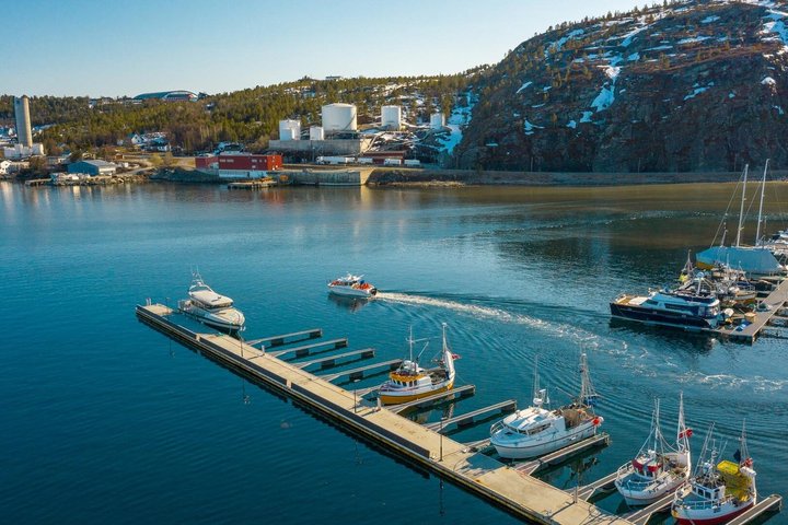 4 Hours Fishing Adventures in Alta Fjord