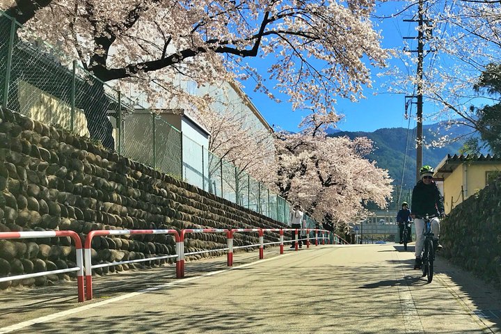 Private Countryside E-Bike Tour in Hida